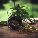 Les bienfaits du CBD que vous devrez savoir