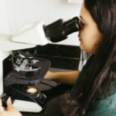 Les approches modernes du traitement de blastocystis hominis