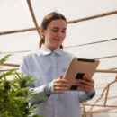 Quelles différences de qualité entre CBD indoor, greenhouse et outdoor ?