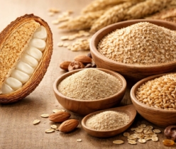 découvrez la composition nutritionnelle du son de riz et ses bienfaits pour la santé. apprenez comment intégrer cet ingrédient riche en fibres dans votre alimentation quotidienne.